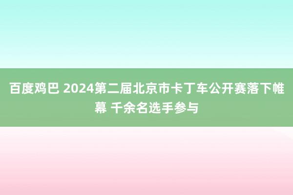 百度鸡巴 2024第二届北京市卡丁车公开赛落下帷幕 千余名选手参与