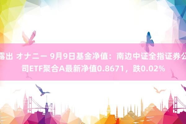 露出 オナニー 9月9日基金净值：南边中证全指证券公司ETF聚合A最新净值0.8671，跌0.02%