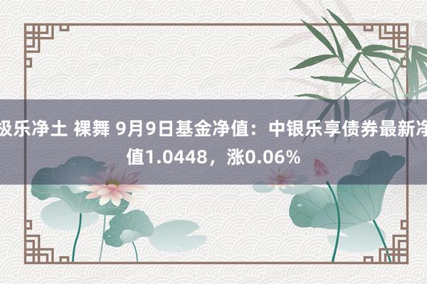 极乐净土 裸舞 9月9日基金净值：中银乐享债券最新净值1.0448，涨0.06%