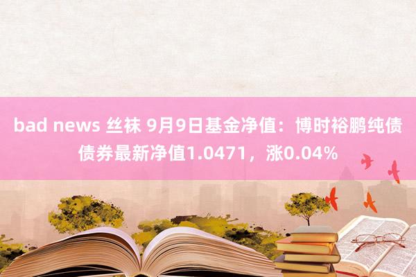 bad news 丝袜 9月9日基金净值：博时裕鹏纯债债券最新净值1.0471，涨0.04%