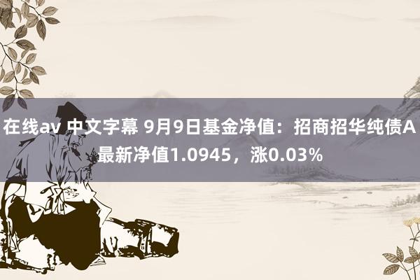 在线av 中文字幕 9月9日基金净值：招商招华纯债A最新净值1.0945，涨0.03%