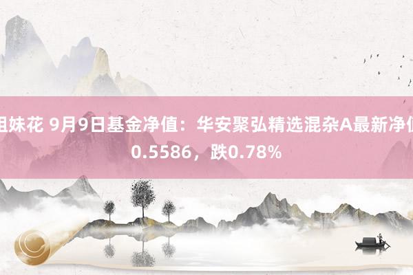 姐妹花 9月9日基金净值：华安聚弘精选混杂A最新净值0.5586，跌0.78%