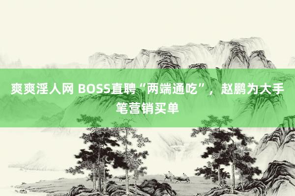 爽爽淫人网 BOSS直聘“两端通吃”，赵鹏为大手笔营销买单