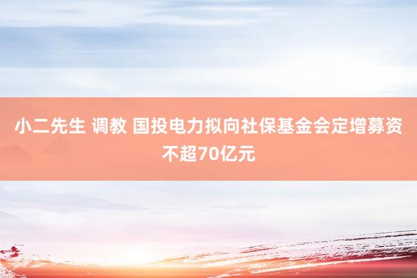 小二先生 调教 国投电力拟向社保基金会定增募资不超70亿元