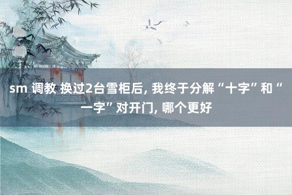 sm 调教 换过2台雪柜后， 我终于分解“十字”和“一字”对开门， 哪个更好