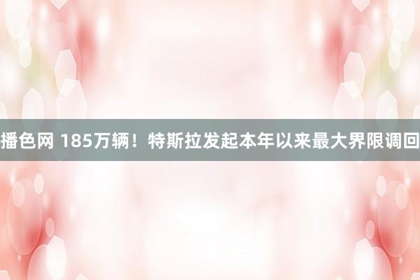 播色网 185万辆！特斯拉发起本年以来最大界限调回