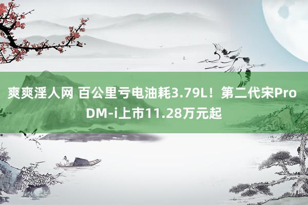 爽爽淫人网 百公里亏电油耗3.79L！第二代宋Pro DM-i上市11.28万元起