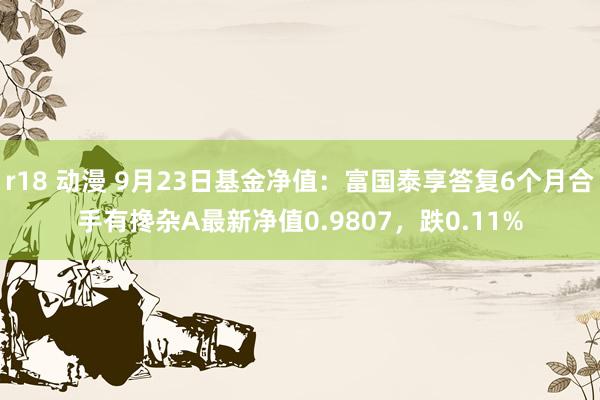 r18 动漫 9月23日基金净值：富国泰享答复6个月合手有搀杂A最新净值0.9807，跌0.11%