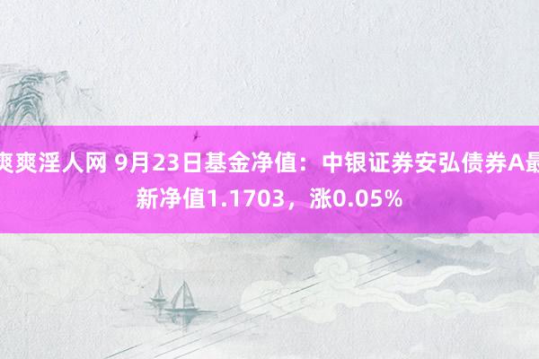 爽爽淫人网 9月23日基金净值：中银证券安弘债券A最新净值1.1703，涨0.05%