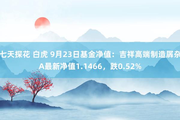 七天探花 白虎 9月23日基金净值：吉祥高端制造羼杂A最新净值1.1466，跌0.52%