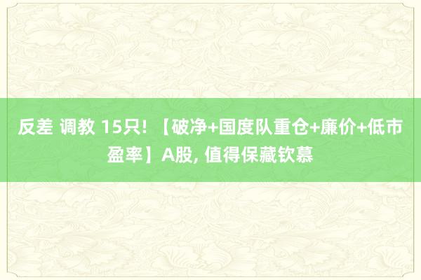 反差 调教 15只! 【破净+国度队重仓+廉价+低市盈率】A股， 值得保藏钦慕