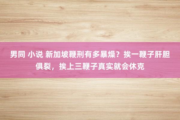 男同 小说 新加坡鞭刑有多暴燥？挨一鞭子肝胆俱裂，挨上三鞭子真实就会休克