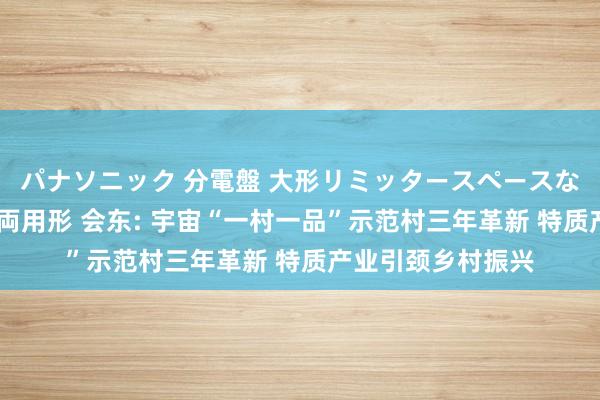 パナソニック 分電盤 大形リミッタースペースなし 露出・半埋込両用形 会东: 宇宙“一村一品”示范村三年革新 特质产业引颈乡村振兴