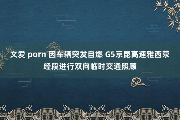 文爱 porn 因车辆突发自燃 G5京昆高速雅西荥经段进行双向临时交通照顾