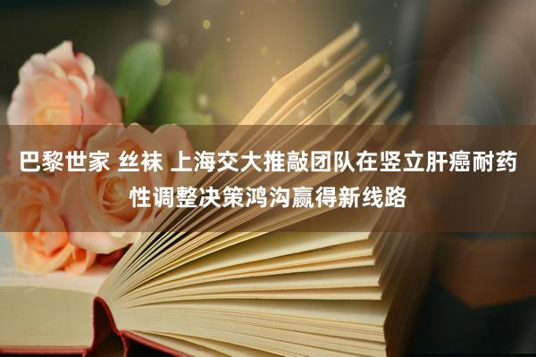 巴黎世家 丝袜 上海交大推敲团队在竖立肝癌耐药性调整决策鸿沟赢得新线路