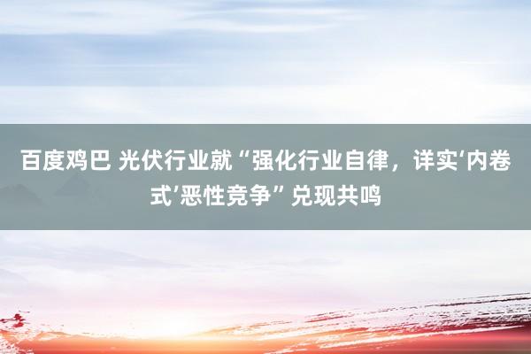 百度鸡巴 光伏行业就“强化行业自律，详实‘内卷式’恶性竞争”兑现共鸣