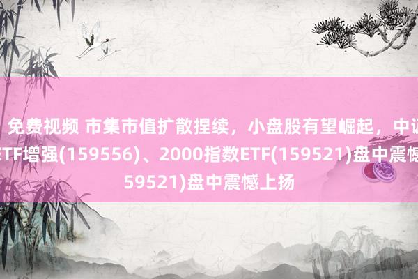 91 免费视频 市集市值扩散捏续，小盘股有望崛起，中证2000ETF增强(159556)、2000指数ETF(159521)盘中震憾上扬