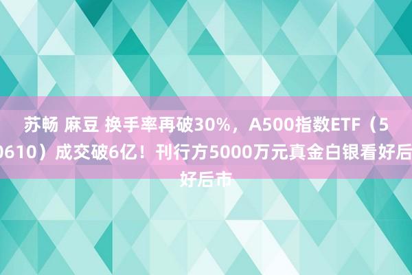 苏畅 麻豆 换手率再破30%，A500指数ETF（560610）成交破6亿！刊行方5000万元真金白银看好后市