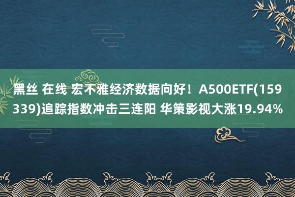 黑丝 在线 宏不雅经济数据向好！A500ETF(159339)追踪指数冲击三连阳 华策影视大涨19.94%