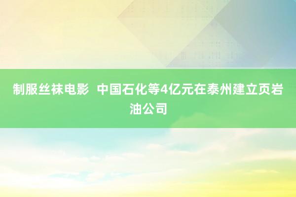 制服丝袜电影  中国石化等4亿元在泰州建立页岩油公司