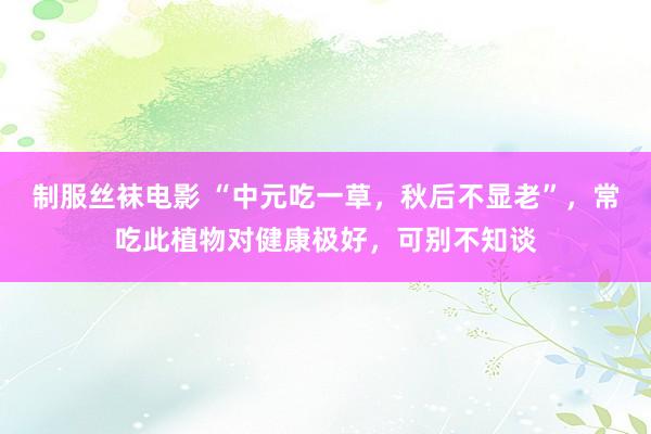 制服丝袜电影 “中元吃一草，秋后不显老”，常吃此植物对健康极好，可别不知谈