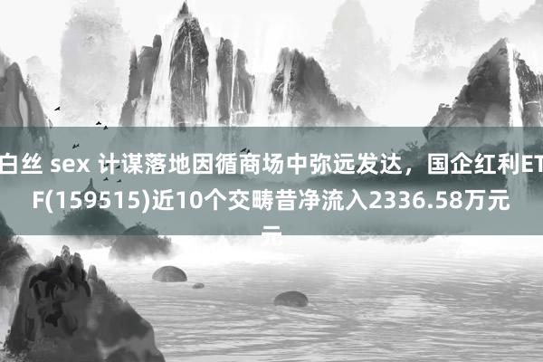 白丝 sex 计谋落地因循商场中弥远发达，国企红利ETF(159515)近10个交畴昔净流入2336.58万元