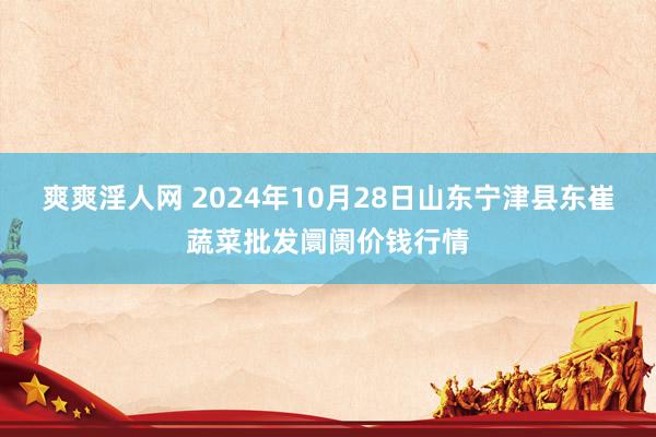 爽爽淫人网 2024年10月28日山东宁津县东崔蔬菜批发阛阓价钱行情