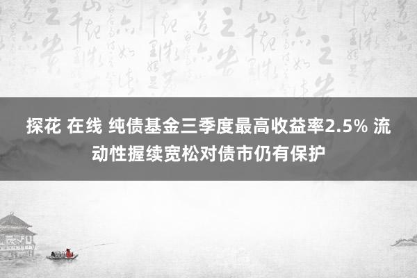 探花 在线 纯债基金三季度最高收益率2.5% 流动性握续宽松对债市仍有保护