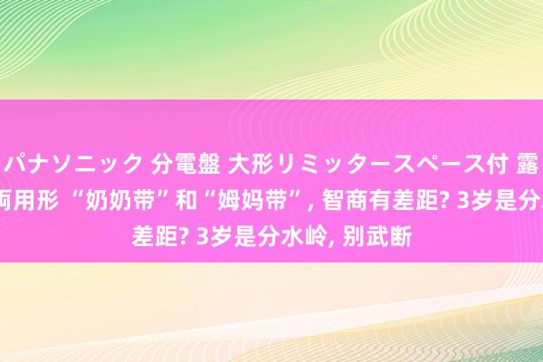 パナソニック 分電盤 大形リミッタースペース付 露出・半埋込両用形 “奶奶带”和“姆妈带”， 智商有差距? 3岁是分水岭， 别武断