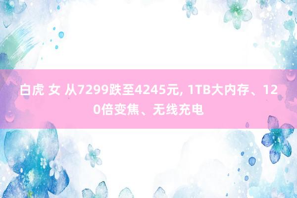 白虎 女 从7299跌至4245元， 1TB大内存、120倍变焦、无线充电