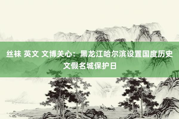 丝袜 英文 文博关心：黑龙江哈尔滨设置国度历史文假名城保护日