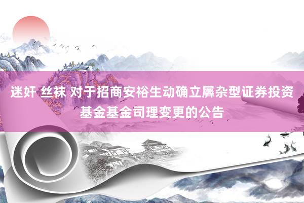 迷奸 丝袜 对于招商安裕生动确立羼杂型证券投资基金基金司理变更的公告