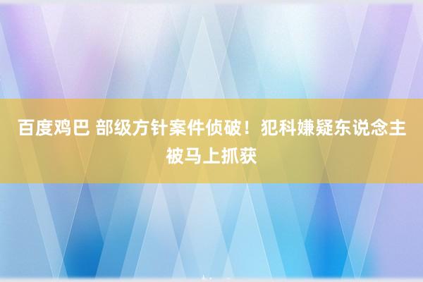 百度鸡巴 部级方针案件侦破！犯科嫌疑东说念主被马上抓获