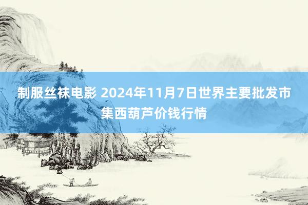 制服丝袜电影 2024年11月7日世界主要批发市集西葫芦价钱行情