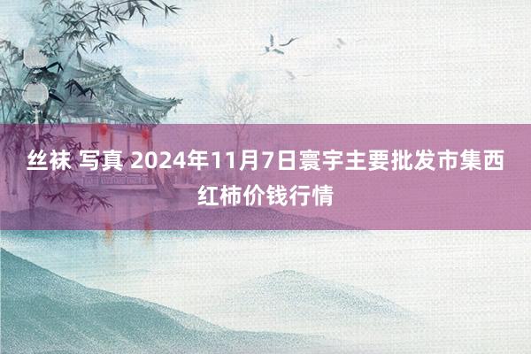 丝袜 写真 2024年11月7日寰宇主要批发市集西红柿价钱行情