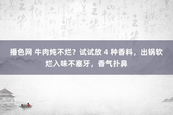 播色网 牛肉炖不烂？试试放 4 种香料，出锅软烂入味不塞牙，香气扑鼻