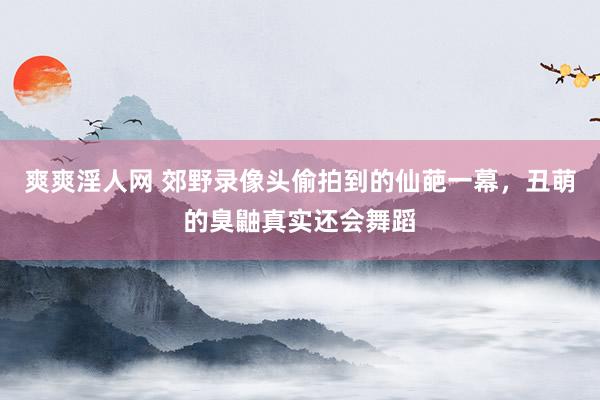 爽爽淫人网 郊野录像头偷拍到的仙葩一幕，丑萌的臭鼬真实还会舞蹈