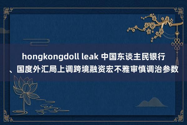 hongkongdoll leak 中国东谈主民银行、国度外汇局上调跨境融资宏不雅审慎调治参数