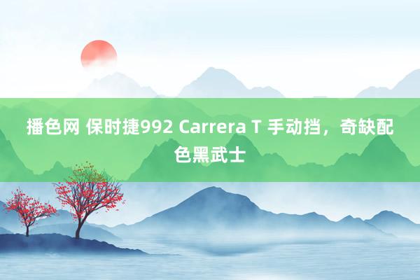 播色网 保时捷992 Carrera T 手动挡，奇缺配色黑武士