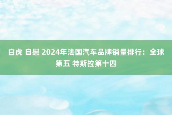 白虎 自慰 2024年法国汽车品牌销量排行：全球第五 特斯拉第十四