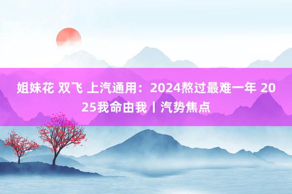 姐妹花 双飞 上汽通用：2024熬过最难一年 2025我命由我丨汽势焦点