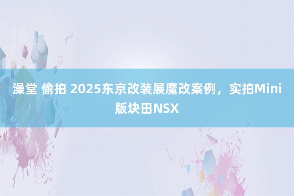 澡堂 偷拍 2025东京改装展魔改案例，实拍Mini版块田NSX